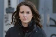 Root