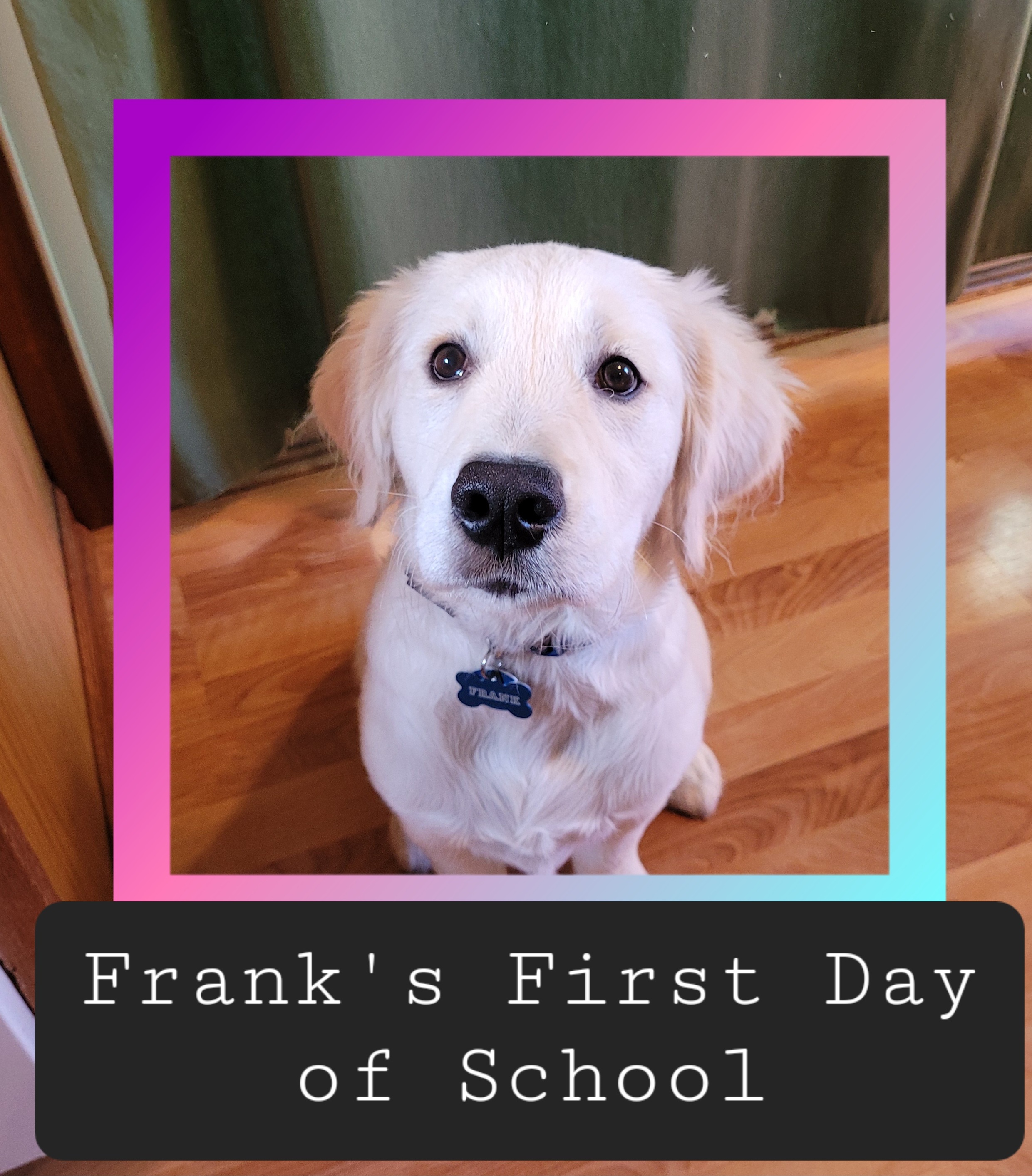 Frank s 1st day of school