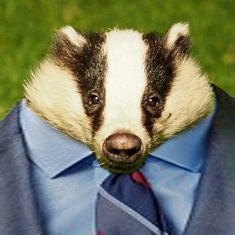 Badger avatar