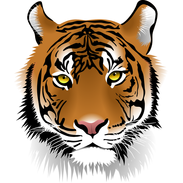 Tigerface