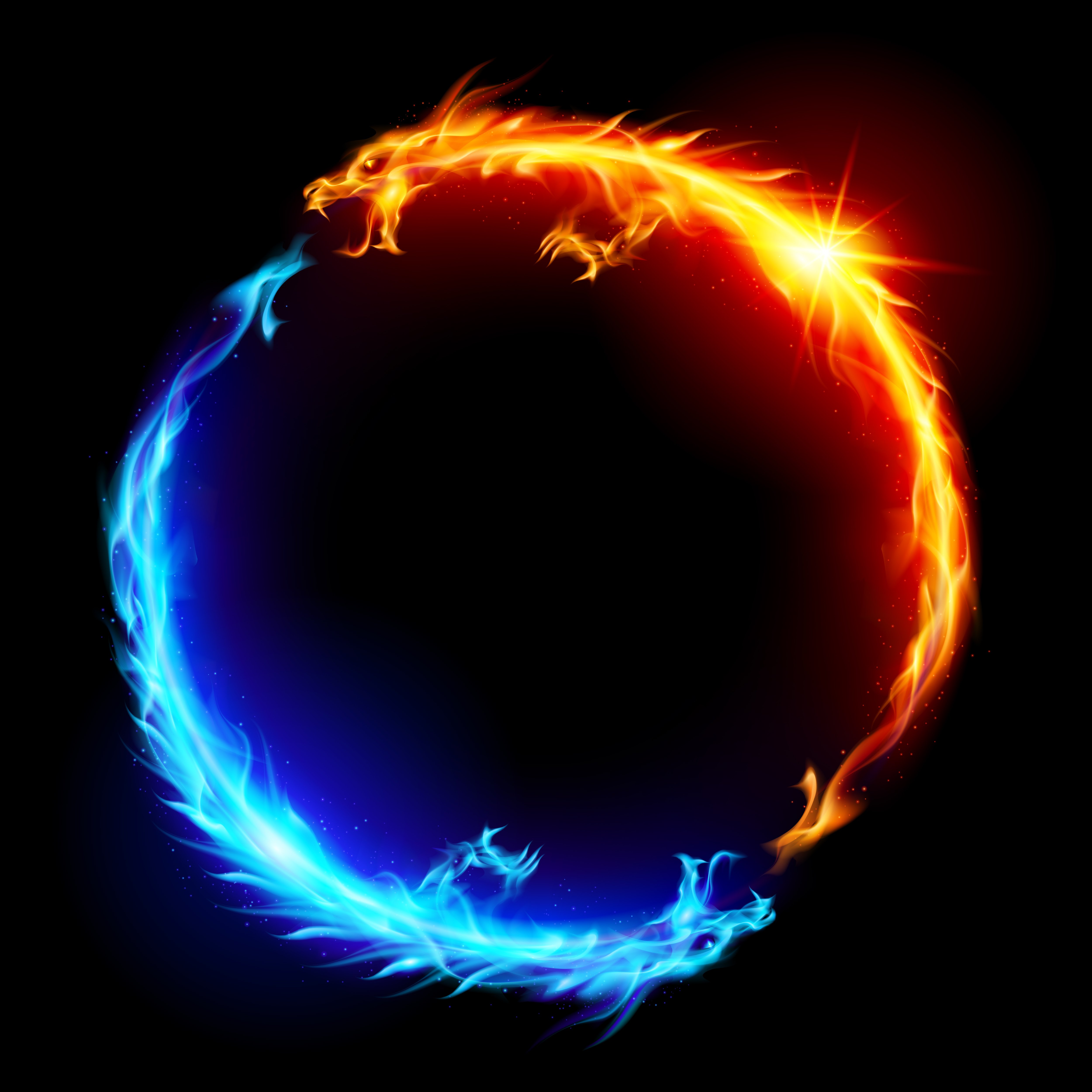 Blue and red fire dragons stephen josephs