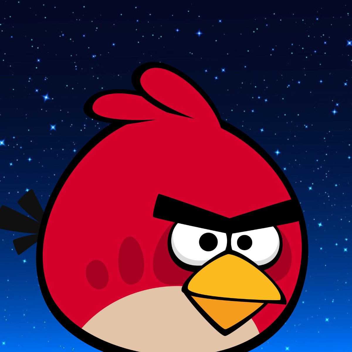 Red bird 20240601 000042 0000