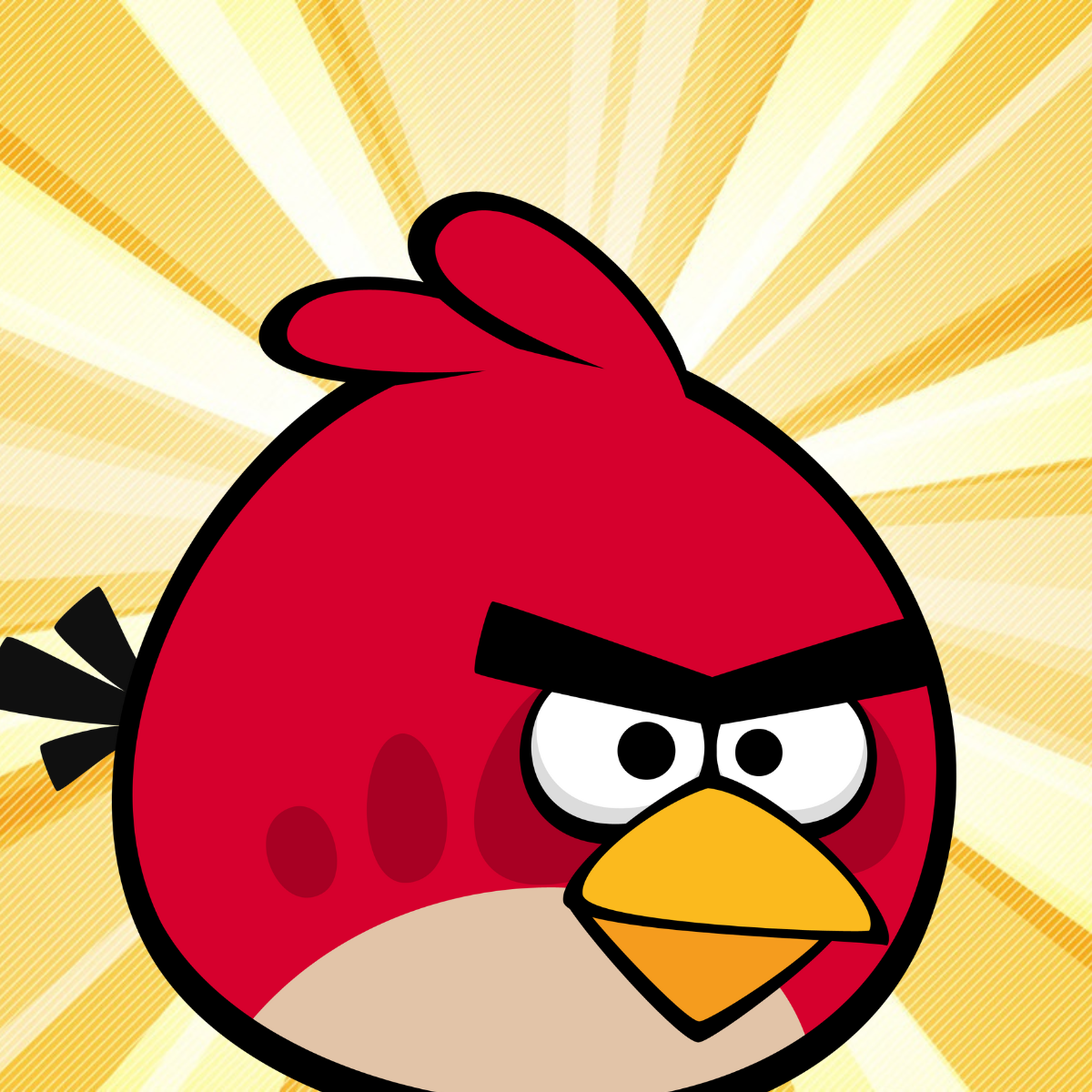 Red bird 20240801 000217 0000