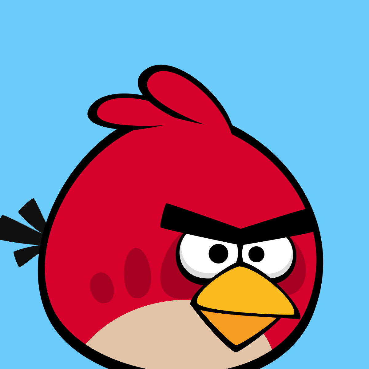 Red bird 20241225 194925 0000