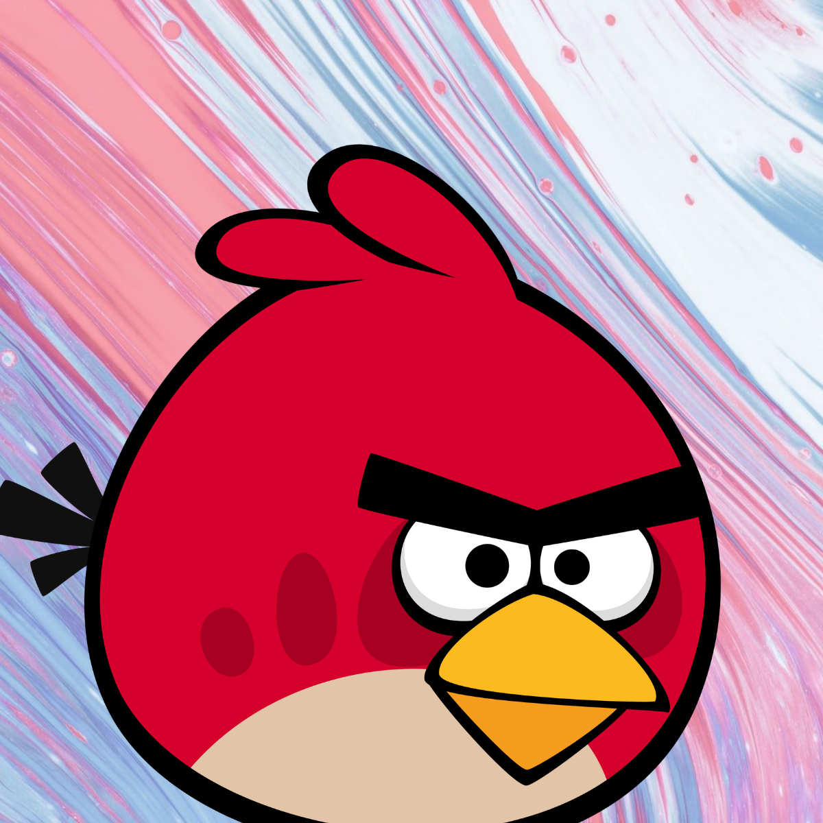 Red bird 20250129 131850 0000