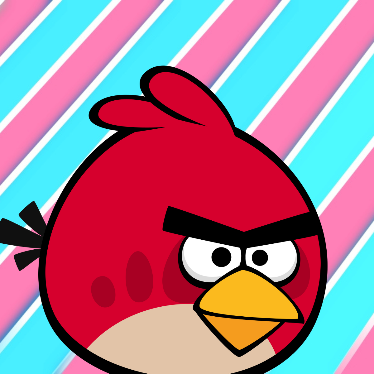 Red bird 20250227 221142 0000