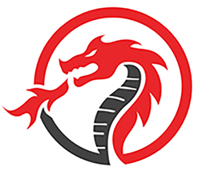 Dragon logo icon 2xs vector