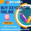 Large buy oxycontin online