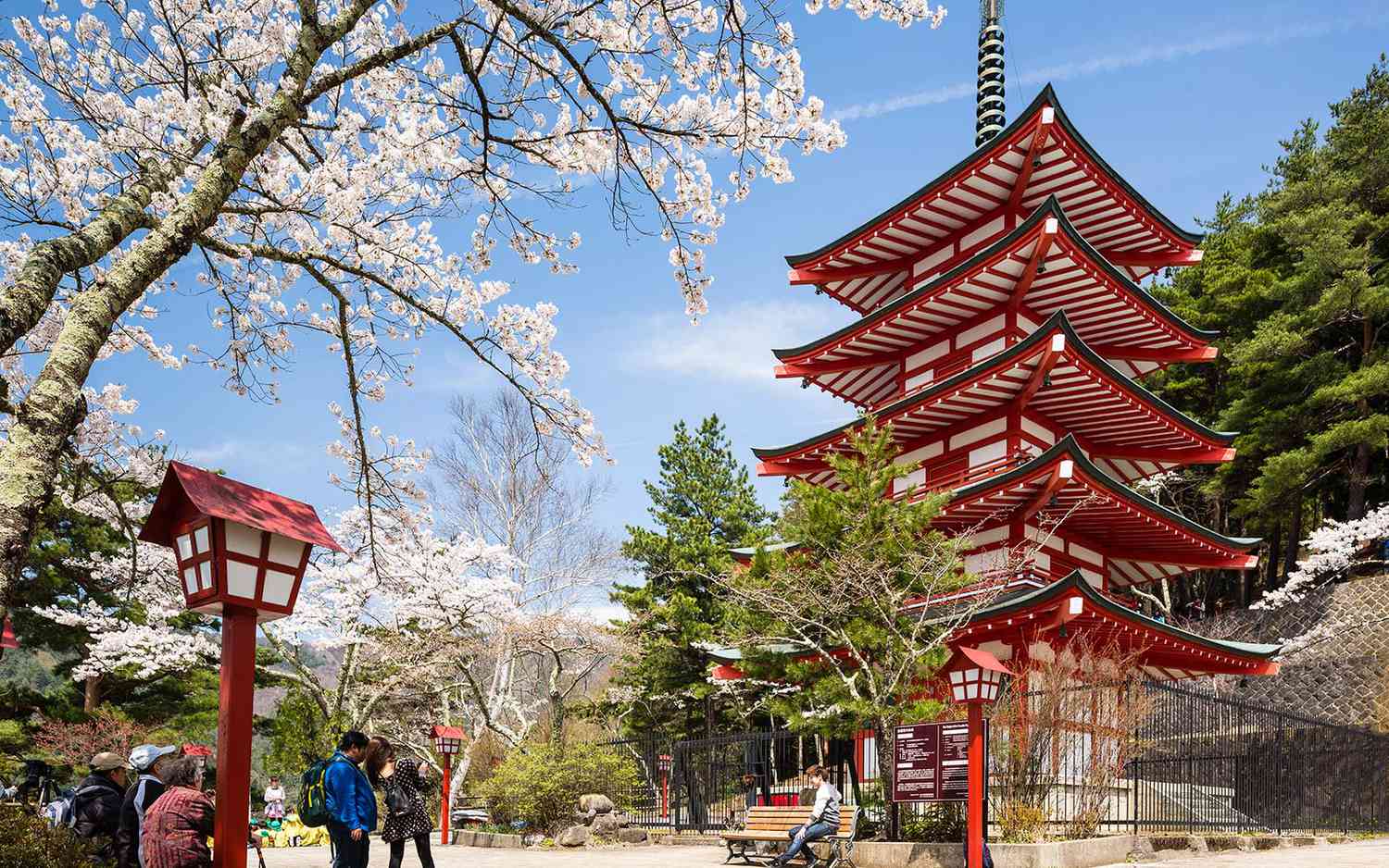 Sakura temple pagoda japan visitjp0218