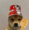 Large 2201 kfc dog