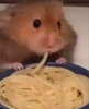 Large desktop wallpaper hamster pasta funny profile funny profile funny reaction hamster meme