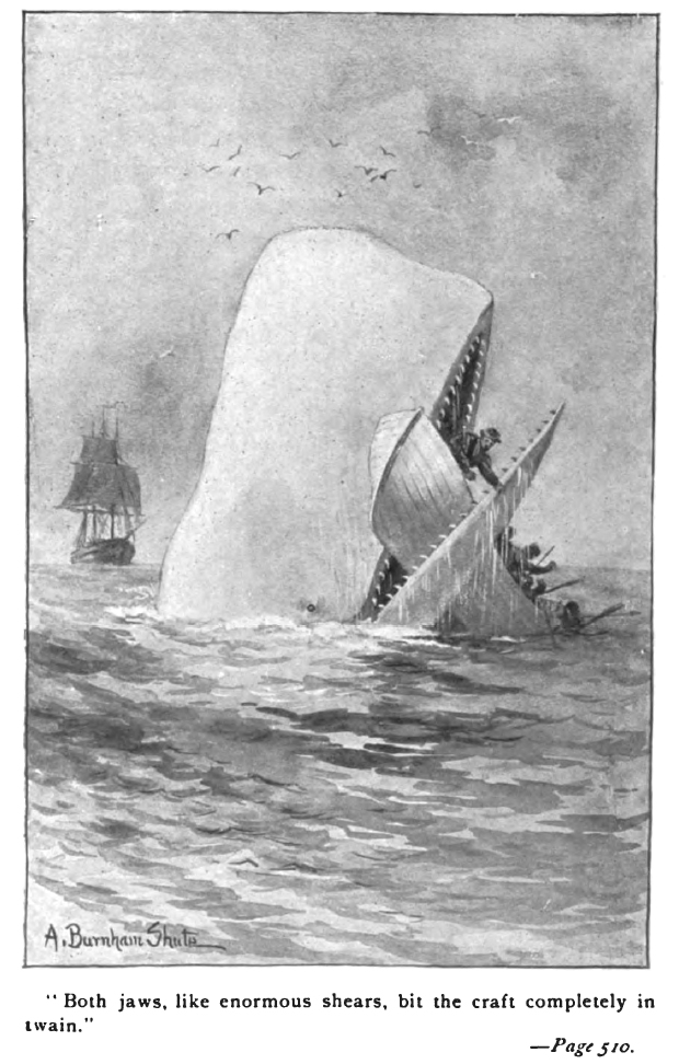 Moby dick p510 illustration