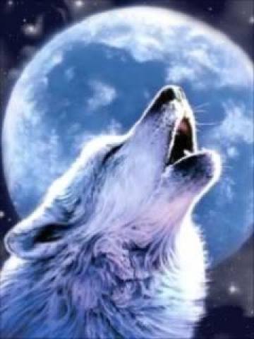 Full moon howl