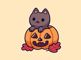 Pumpkin cat 4