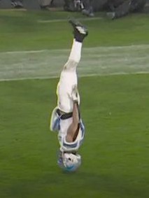 Skysports headstand lions amon ra st brown 6738241