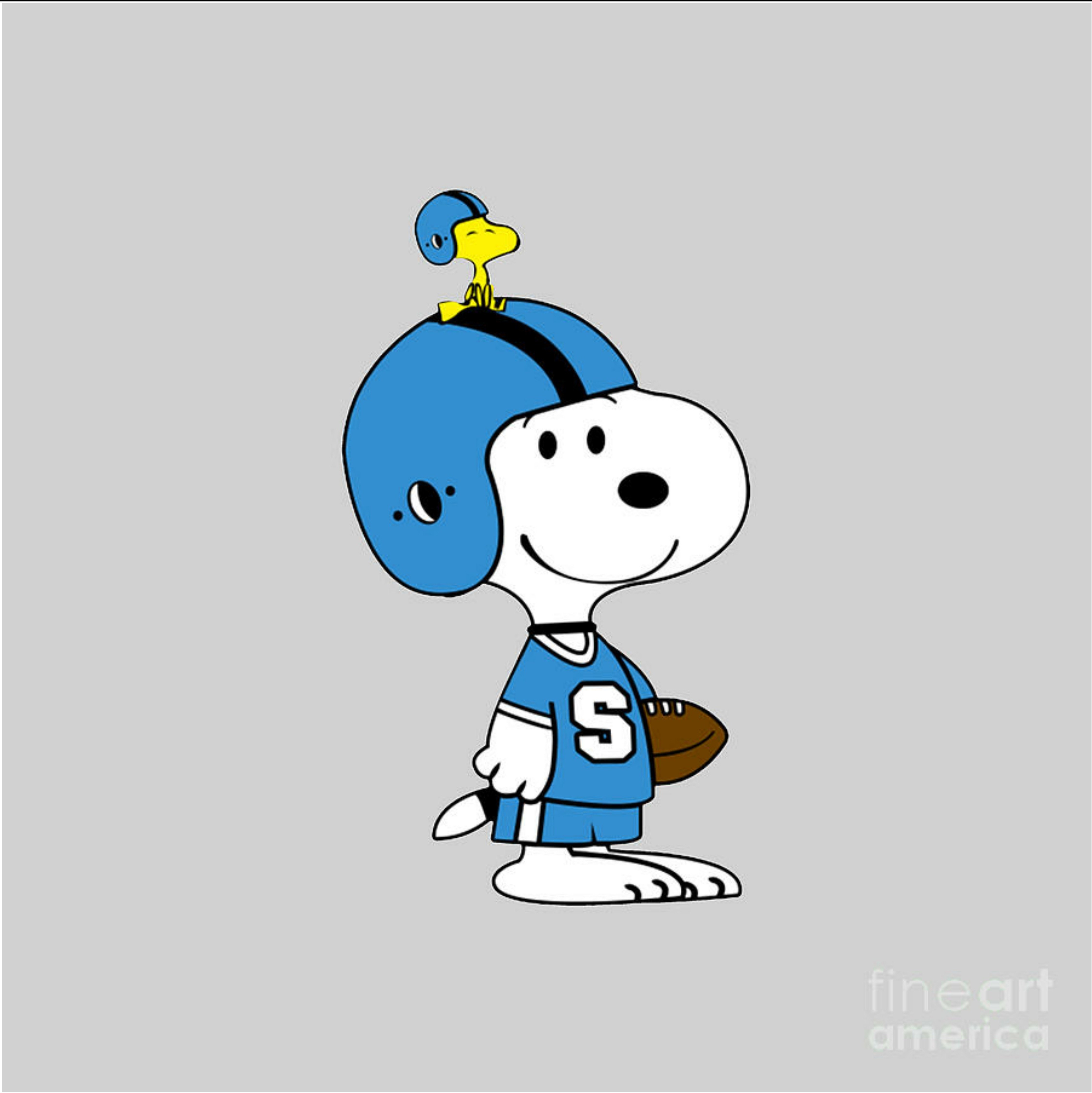 Snoopy football snoopy elizabeth j campbell 4512x24564 4510x4515