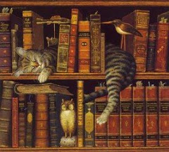 Cat sleeping on bookshelf